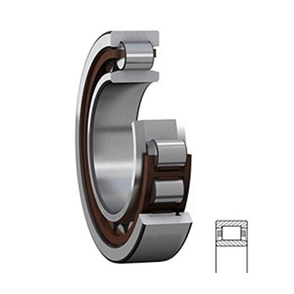 Skf Cylindrical Roller Bearing, 65MM Bore, Straight, 100MM Outside Diameter NU 1013 ECP - main